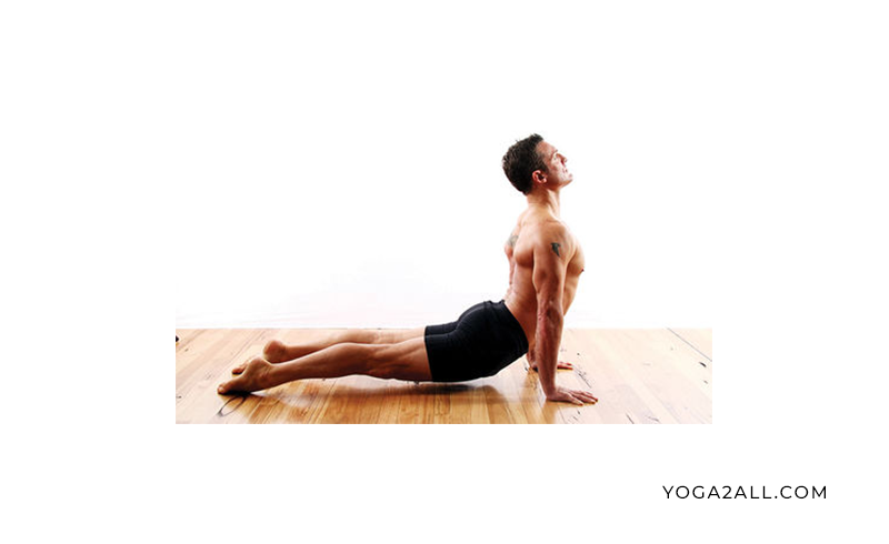 Upward Facing Dog Pose